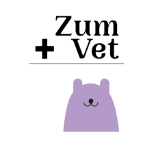 Product Manager cum Full-stack