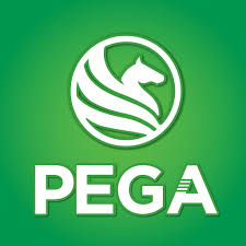 Talent Acquisition (Assistant to CEO)
