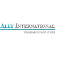 ally international travel